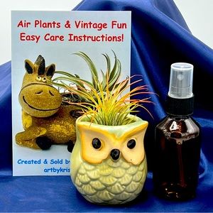 Mini OWL Planter Air Plant Set - Spanish Moss Fine Mist Sprayer FREE Air Plant